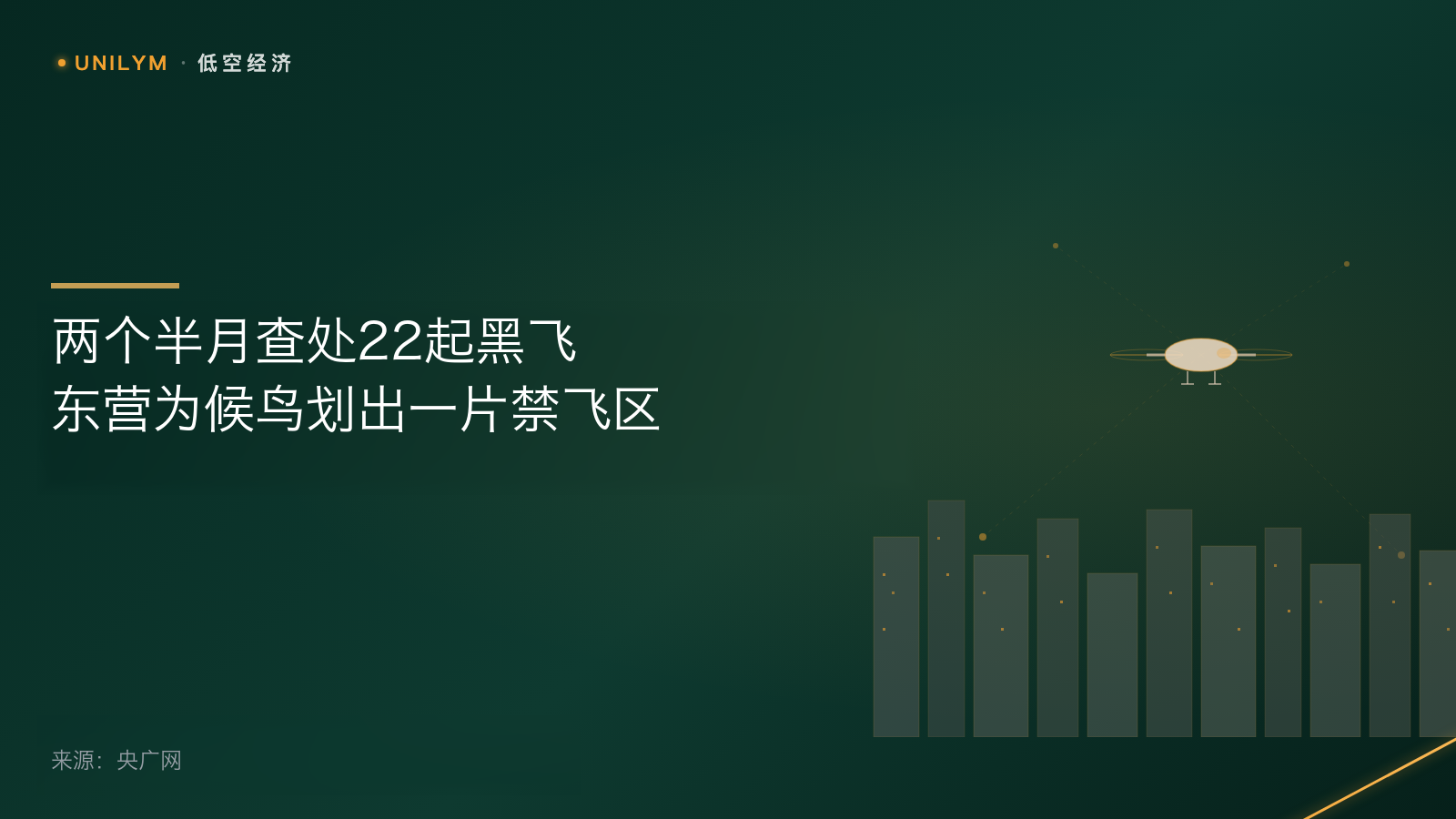 东营候鸟迁徙期无人机管控封面
